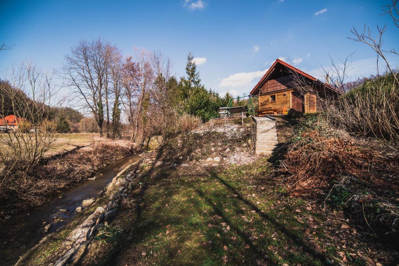 Wooden Cabin Zurej With Hot Tub Bukovje v Babni Gori Bagian luar foto